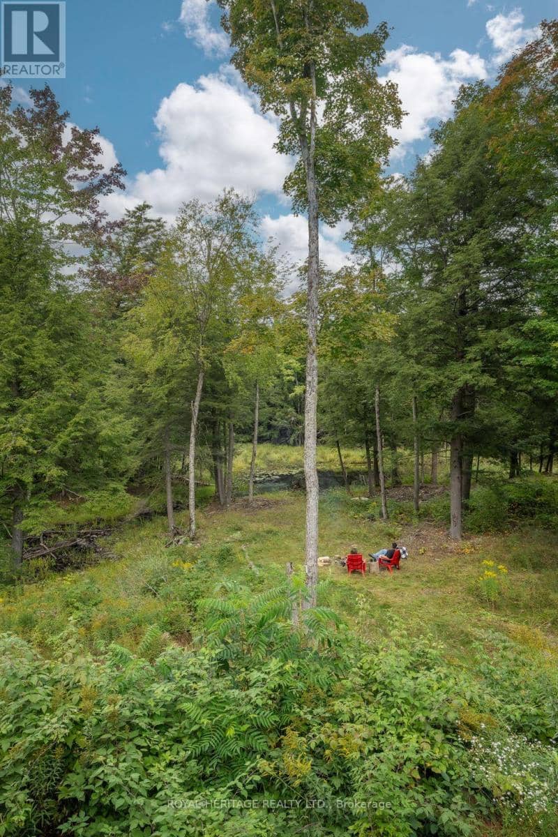20195 62 Highway — photo 34 of 40