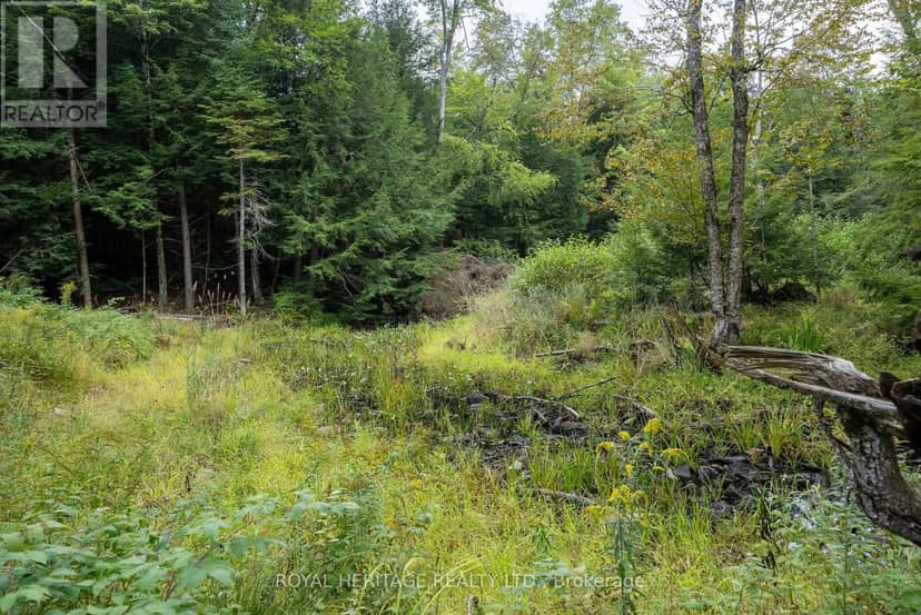 20195 62 Highway — photo 40 of 40