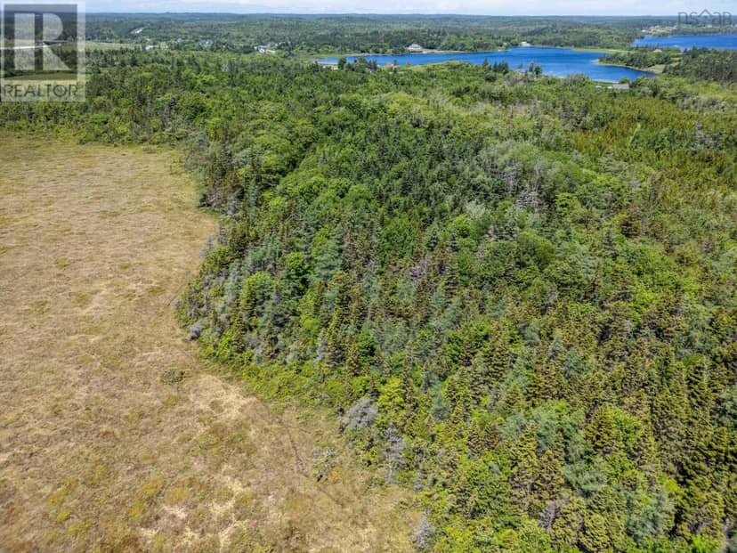 Lot Lake Doucette Road — photo 7 of 16