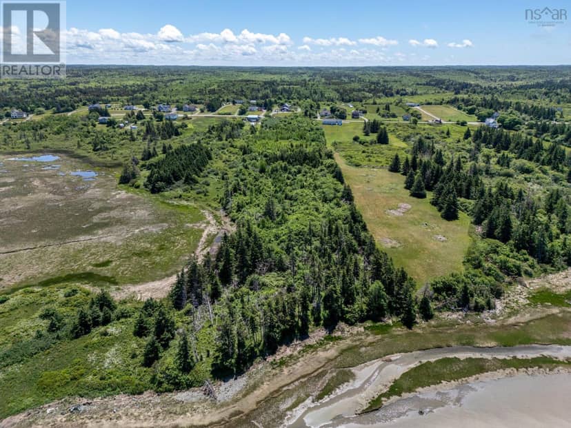 Lot Highway 1, Grosses Coques, photo 4