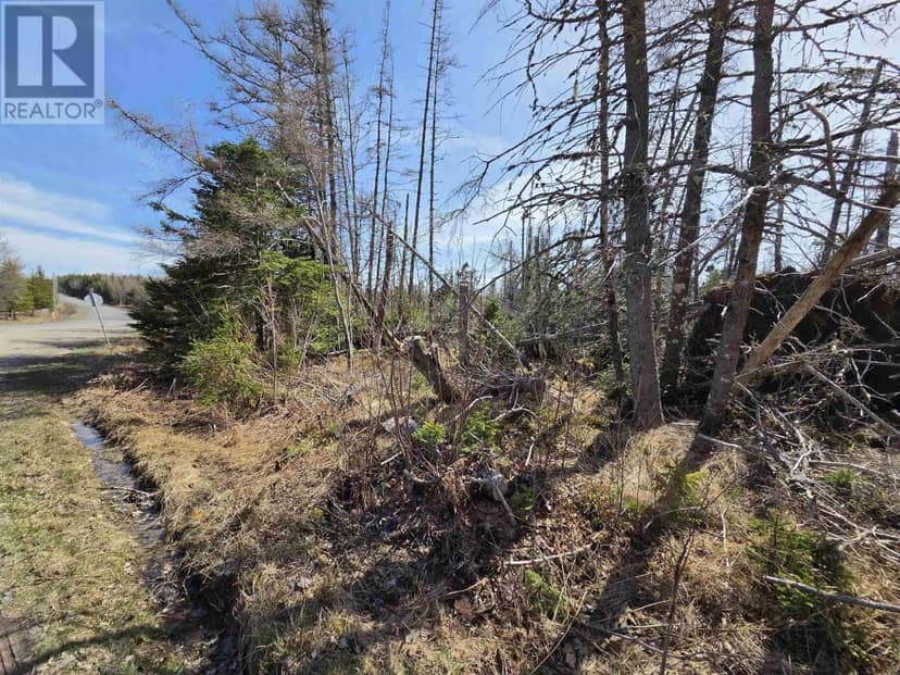 Malcolms Road — photo 13 of 14