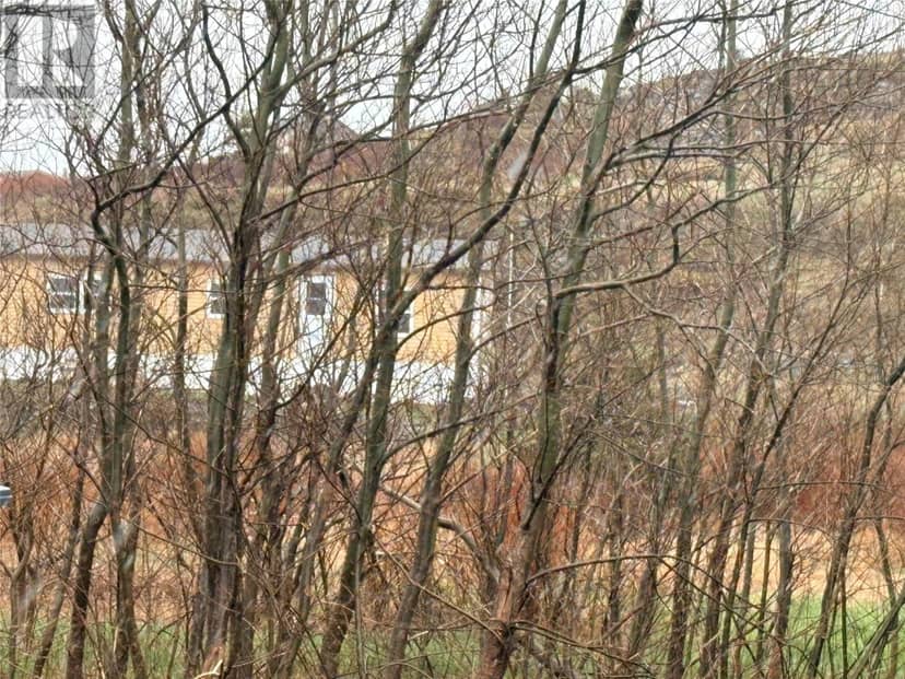 3 Baker's Marsh Road, Bonavista, photo 3