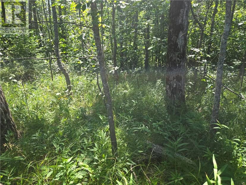 N/A 4th Line, Gore Bay, photo 2