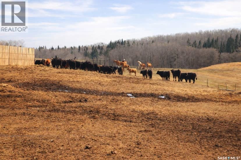 Sturgeon Valley Ranch — photo 34 of 40