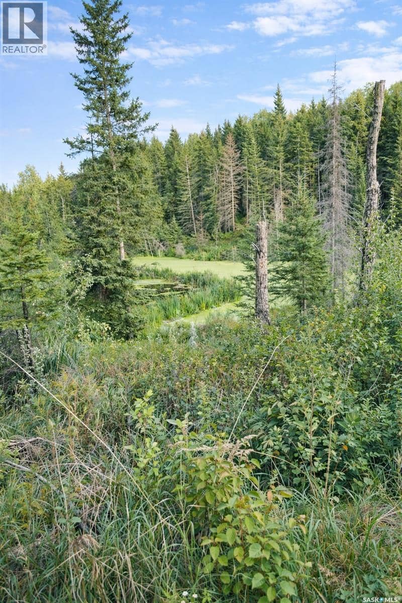 Sturgeon Valley Ranch — photo 35 of 40