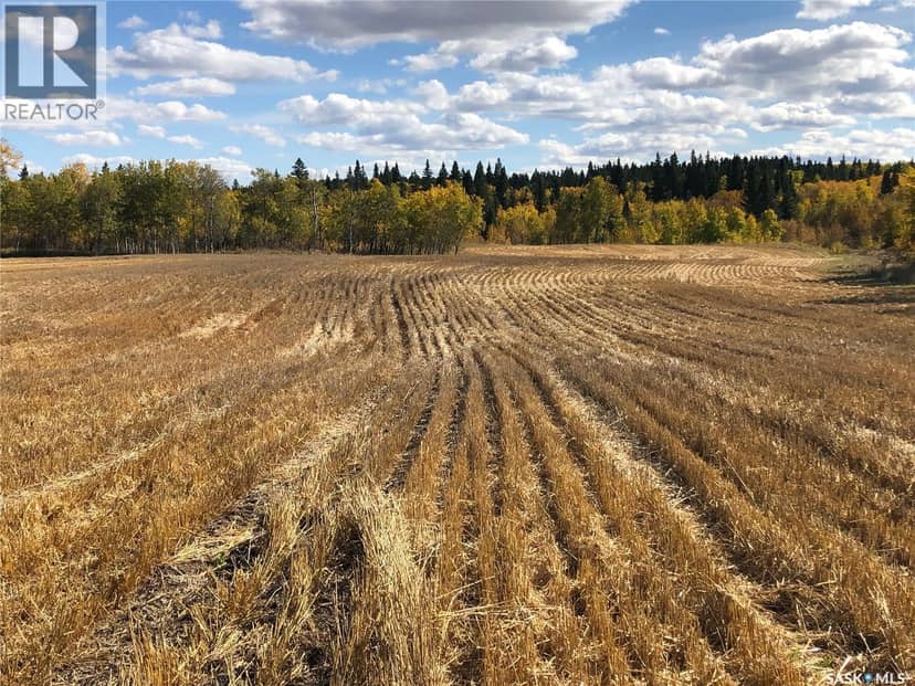 Sturgeon Valley Ranch — photo 36 of 40
