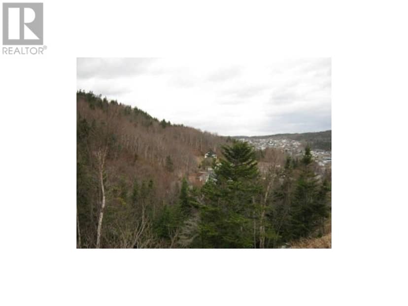 24 Woodmans Road, Corner Brook, photo 4