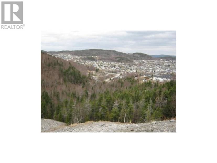 24 Woodmans Road, Corner Brook, photo 5