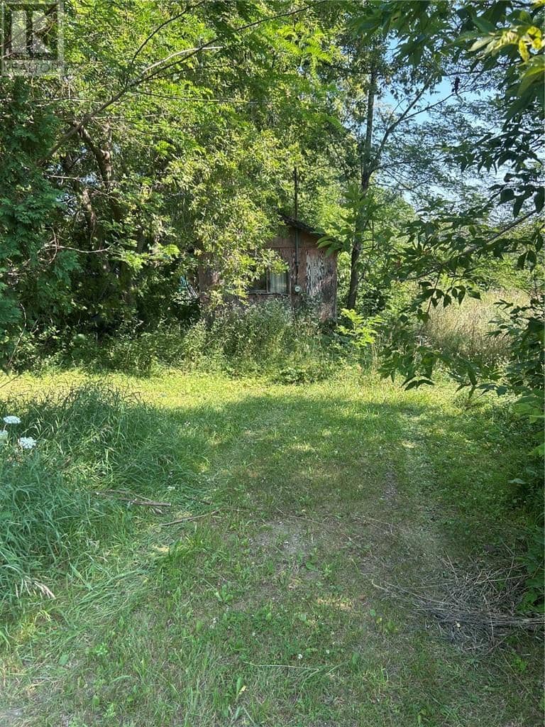 LT 84 Limberlost Lane, Mindemoya, photo 3
