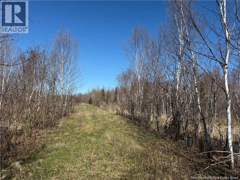 129 acres Route 340 — photo 3 of 6
