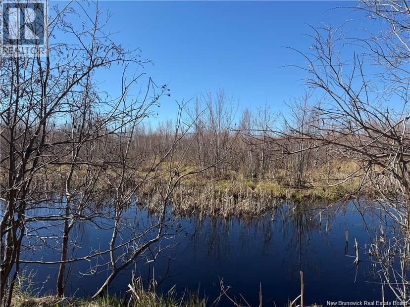 129 acres Route 340 — photo 4 of 6
