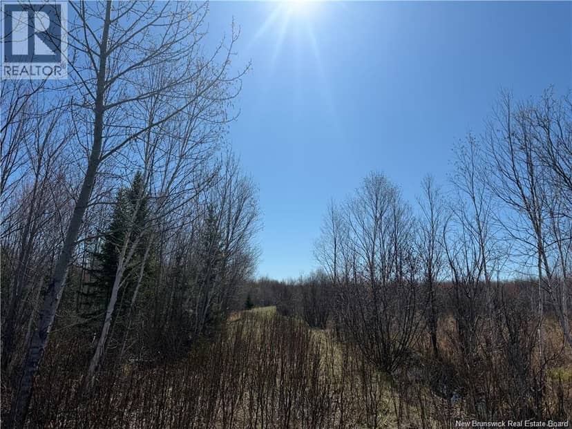 129 acres Route 340 — photo 5 of 6