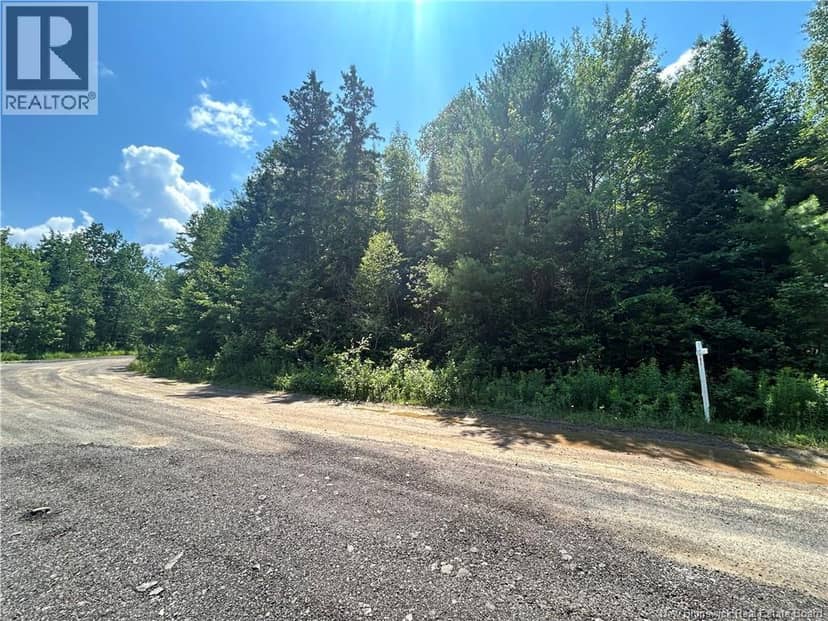 lot David, Galloway, photo 5