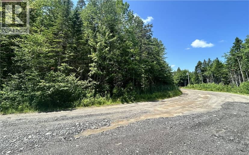 lot David, Galloway, photo 6