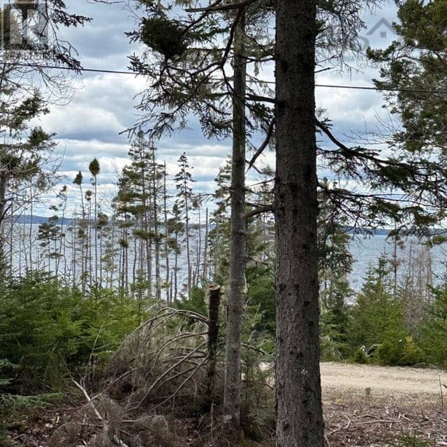 Lot 8 Fire Cove Road — photo 8 of 14