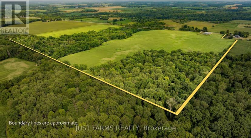 1052 Longwoods Road — photo 4 of 13