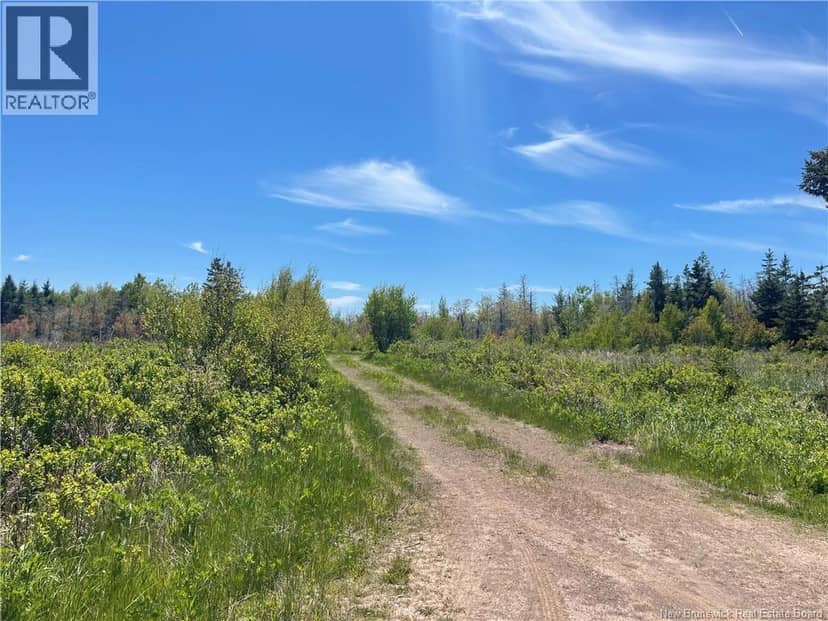 Lot 95-5 P'tit Barachois Road — photo 10 of 16