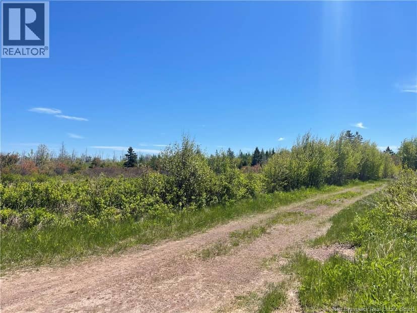 Lot 95-5 P'tit Barachois Road — photo 9 of 16