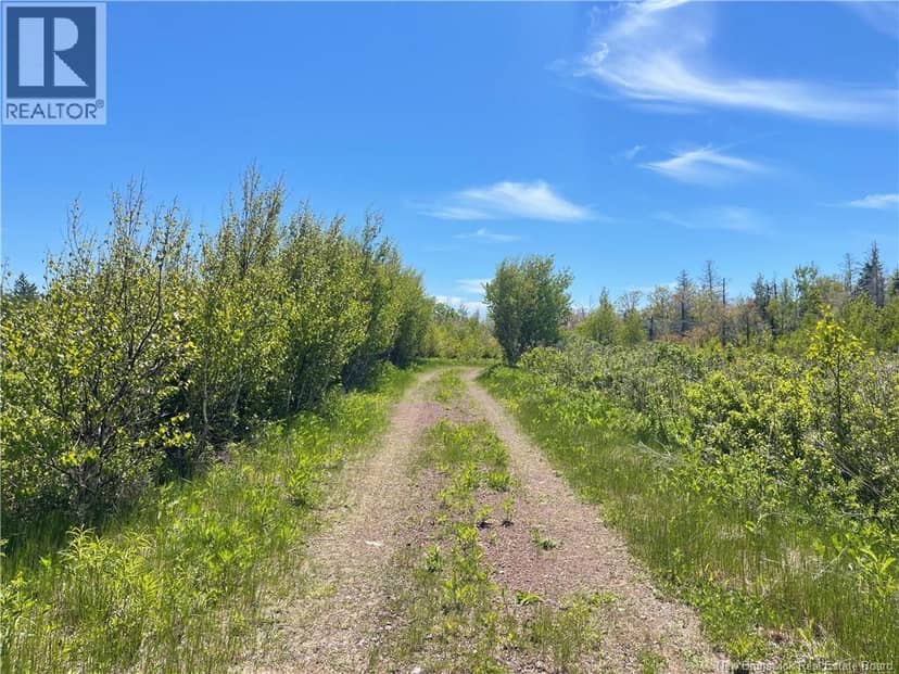 Lot 95-5 P'tit Barachois Road, Grand-Barachois, photo 2