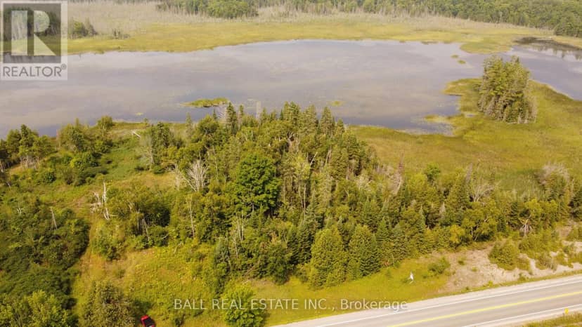 892 County Rd 40, Douro-Dummer, photo 4