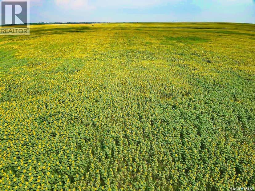25 Quarter Sections - Rm Souris Valley — photo 2 of 26