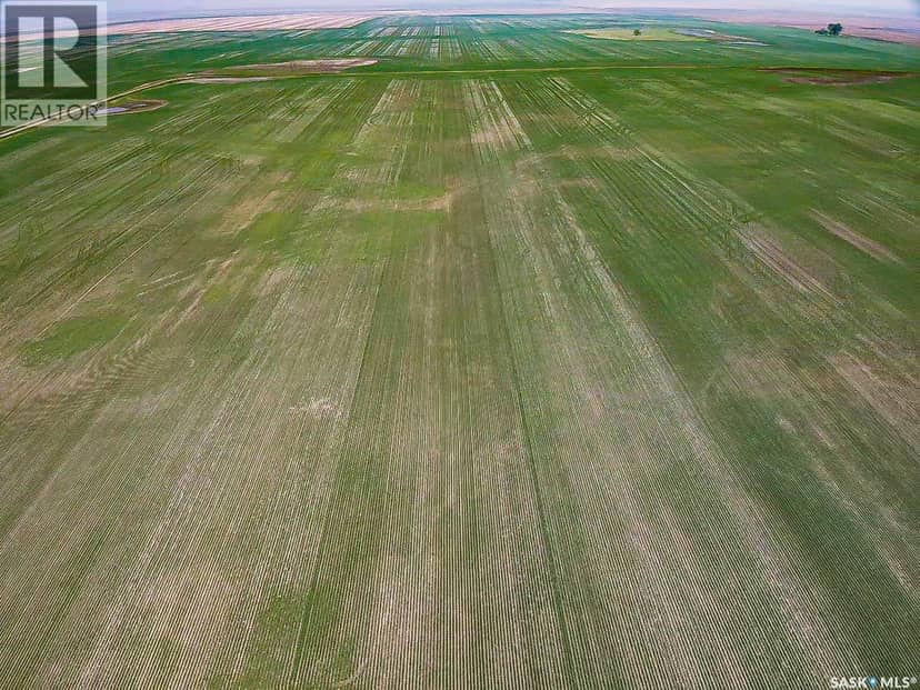 25 Quarter Sections - Rm Souris Valley — photo 8 of 26