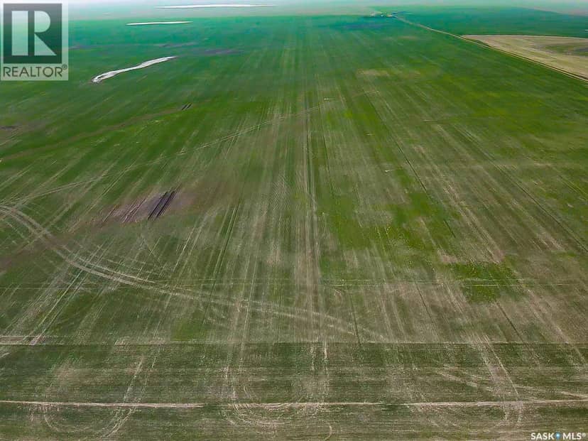 25 Quarter Sections - Rm Souris Valley — photo 10 of 26