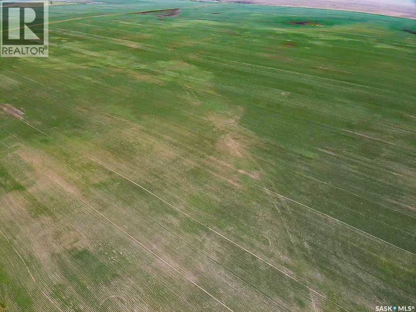 25 Quarter Sections - Rm Souris Valley — photo 13 of 26