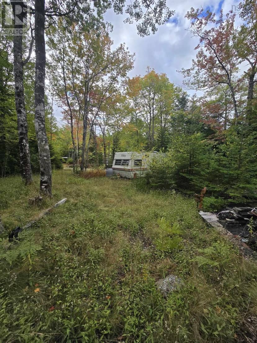 41 Freeman Collicutt Road — photo 4 of 4