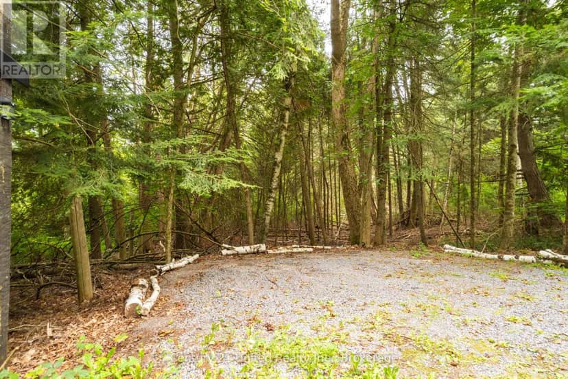 292 Roma Lane, Stirling-Rawdon, photo 5
