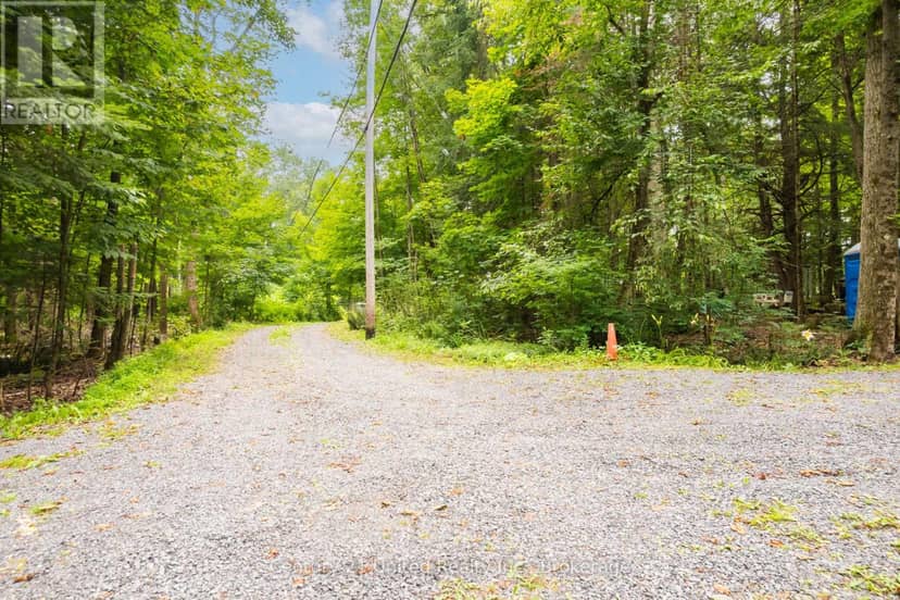 292 Roma Lane, Stirling-Rawdon, photo 6