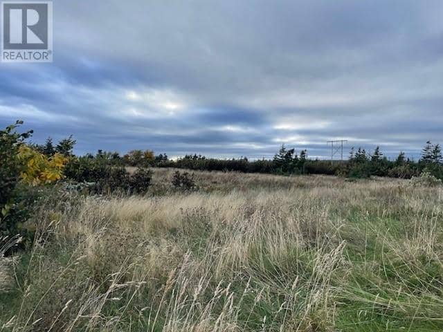 4 Gabriel Drive, Port au Port East