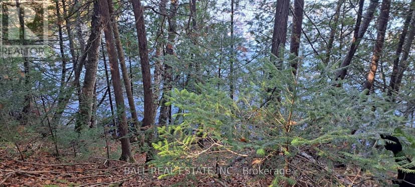 1992 Smith Road — photo 5 of 14