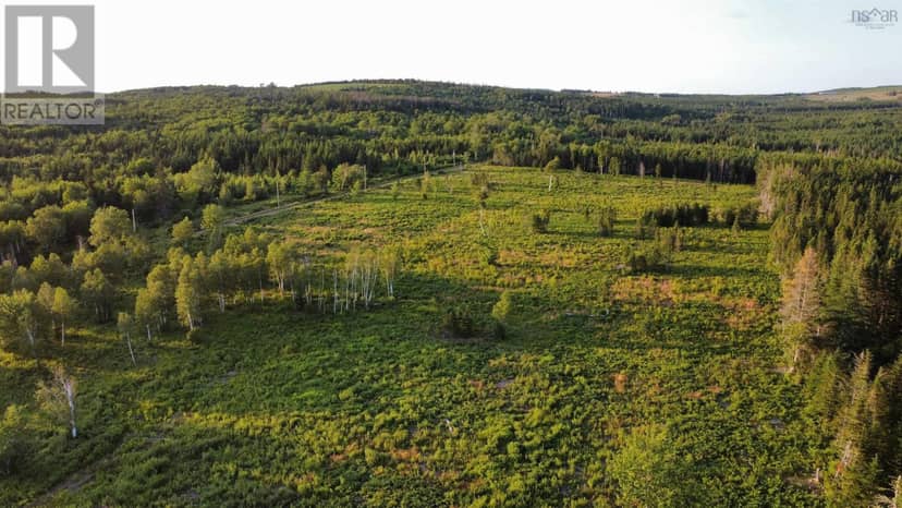 Lot 3 Alpine Ridge Road, Mabou, photo 4