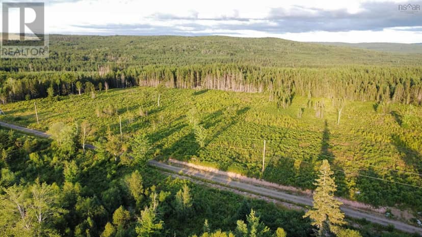 Lot 4 Alpine Ridge Road, Mabou, photo 2
