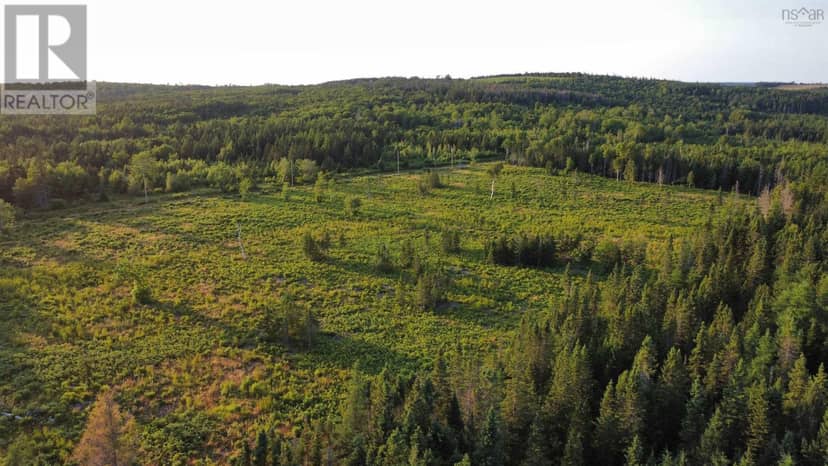 Lot 5 Alpine Ridge Road, Mabou, photo 7