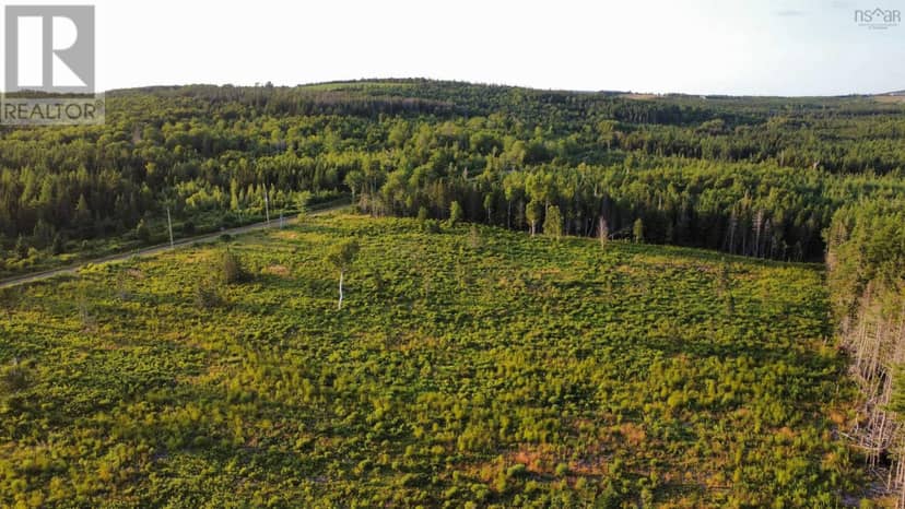 Lot 6 Alpine Ridge Road, Mabou, photo 4
