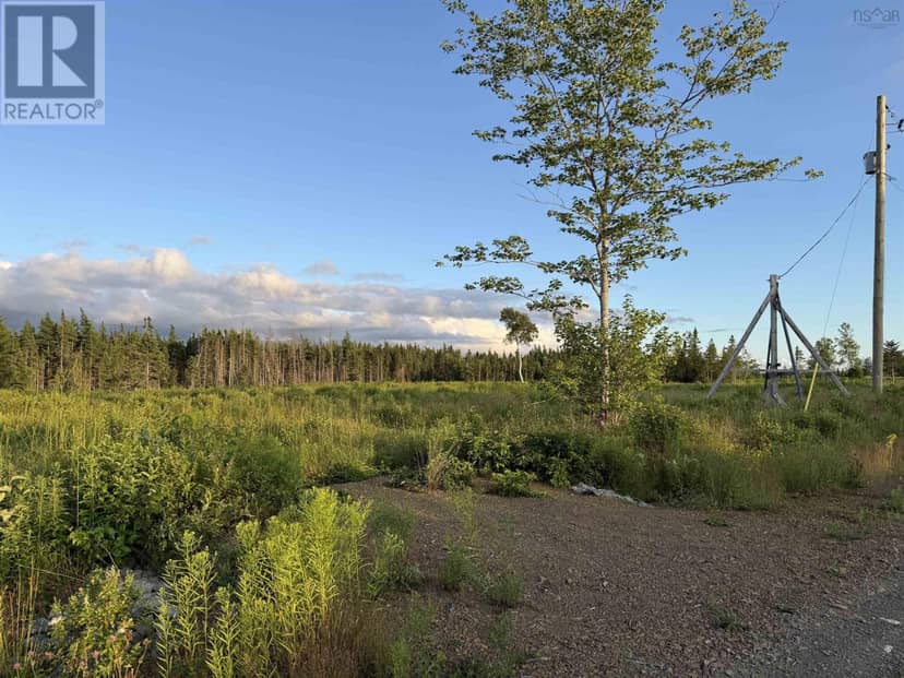 Lot 6 Alpine Ridge Road, Mabou, photo 6