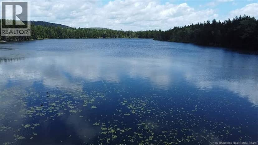 Big Salmon River Road — photo 4 of 12