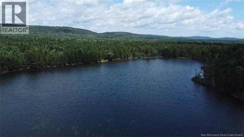 Big Salmon River Road — photo 5 of 12