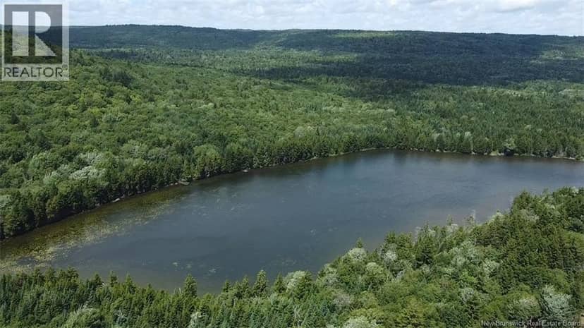 Big Salmon River Road — photo 2 of 12