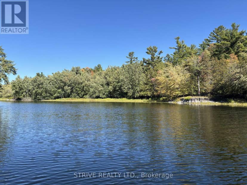 206I Kehoe Lane, Tweed, photo 4
