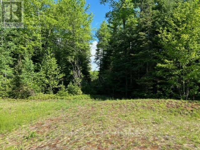 Lot 27 Bancroft Ridge Drive, Bancroft, photo 3