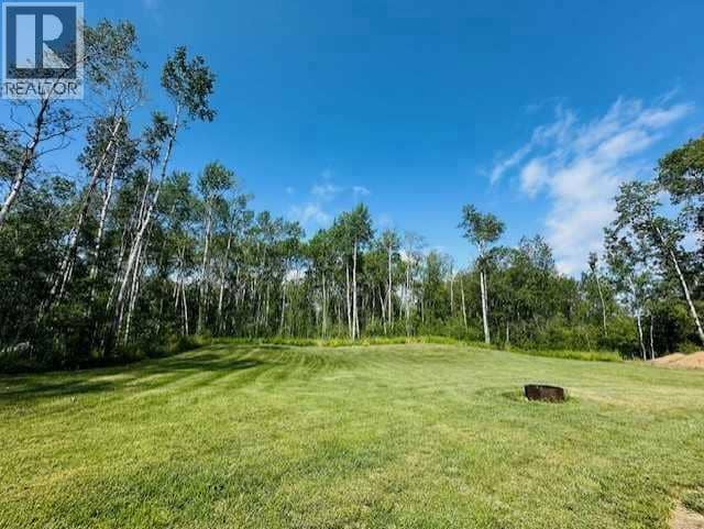 605 Louiselle Trail, Lac Des Iles, photo 2