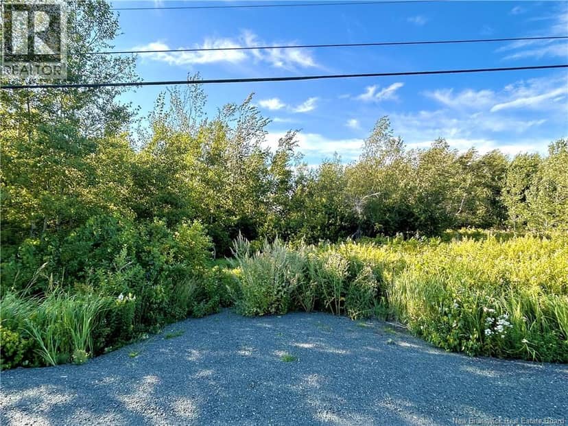 21.5 Acres Rte 117 — photo 3 of 6