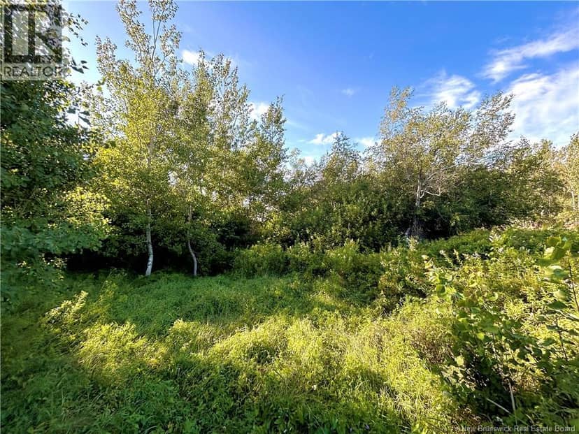 21.5 Acres Rte 117 — photo 4 of 6