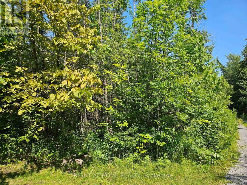 0 Shanval Lane, Marmora and Lake, photo 5