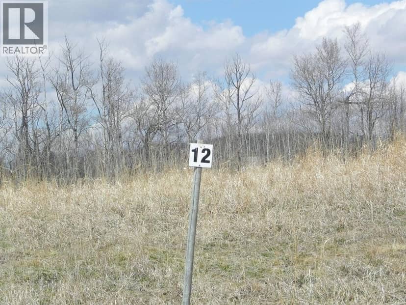 12, 420069 Range Road 284, Rural Ponoka County, photo 2