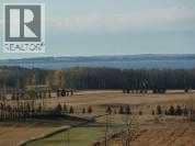 29, 420069 Range Road 284, Rural Ponoka County, photo 5
