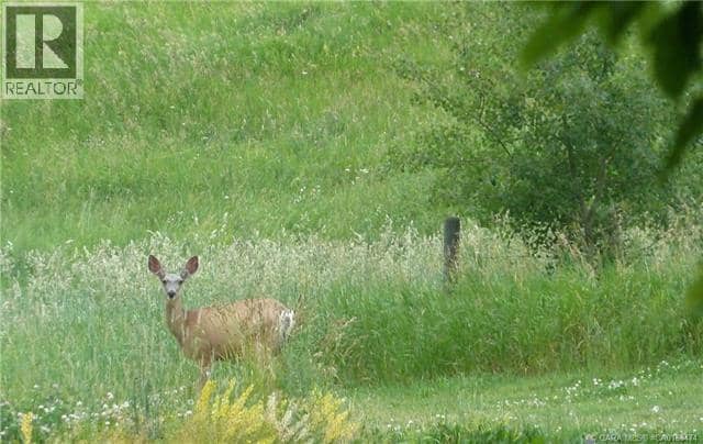 1, 420069 Range Road 284, Rural Ponoka County, photo 5